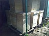 hive -26.jpg hive -26.jpg